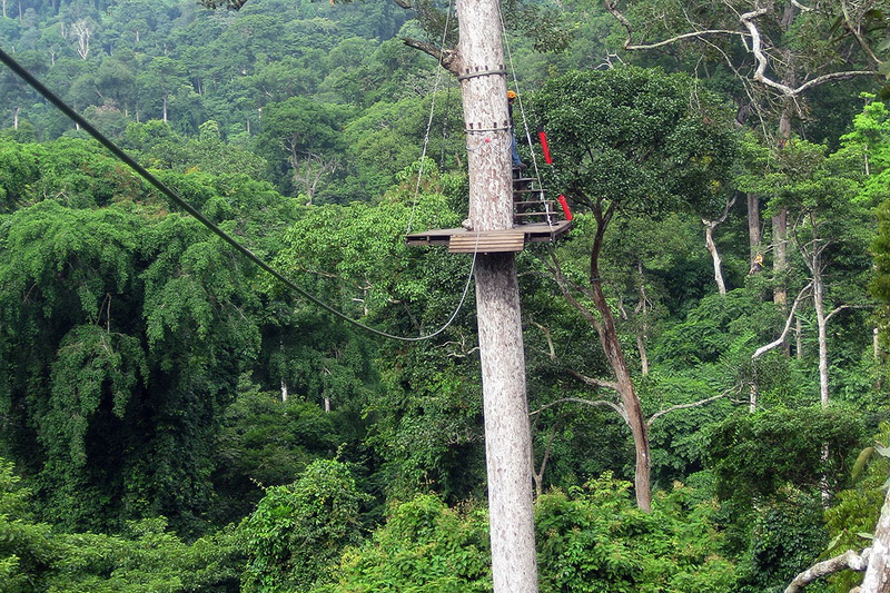 Thailand, Pattaya, Flight of the Gibbon